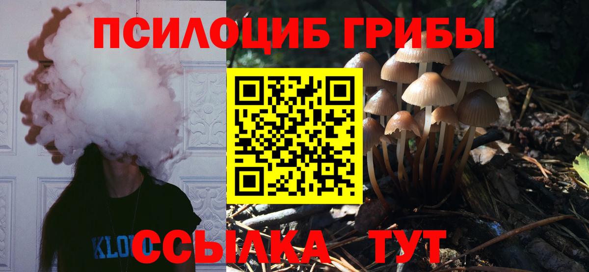 Псилоцибиновые грибы GOLDEN TEACHER Звенигород